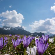 Frühlings Wanderurlaub im Tannheimer Tal, Bild 3/3