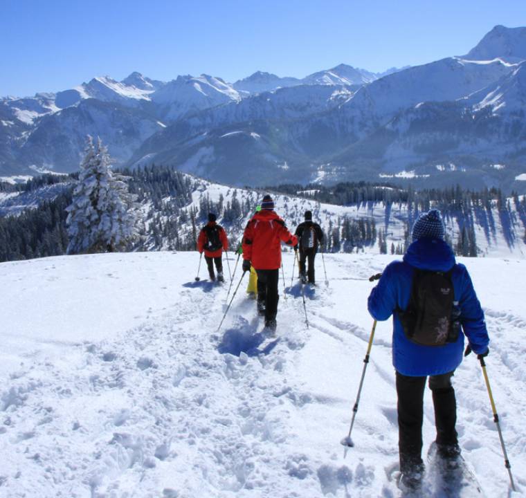 Winter- Und Schneeschuhwandern - Lumberger Hof